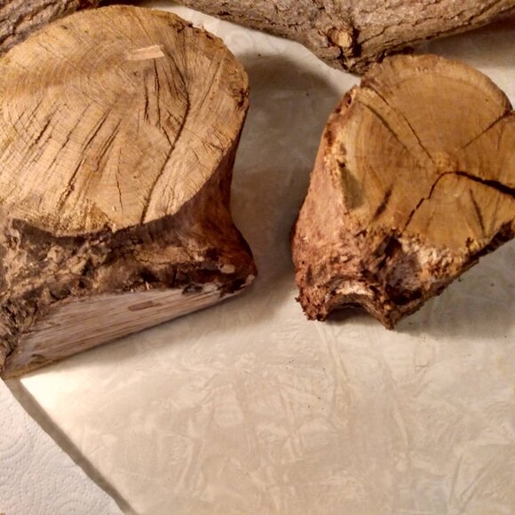 Two Small Real Wood Tree Stumps Fairy Garden Gnome Village Rustic Accent - Picture 2 of 11